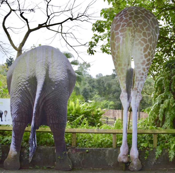 おしりの看板