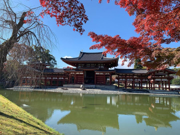 【京都】お茶の名産地「宇治」の魅力を徹底解説！観光スポットや抹茶スイーツ、寺社仏閣を紹介
