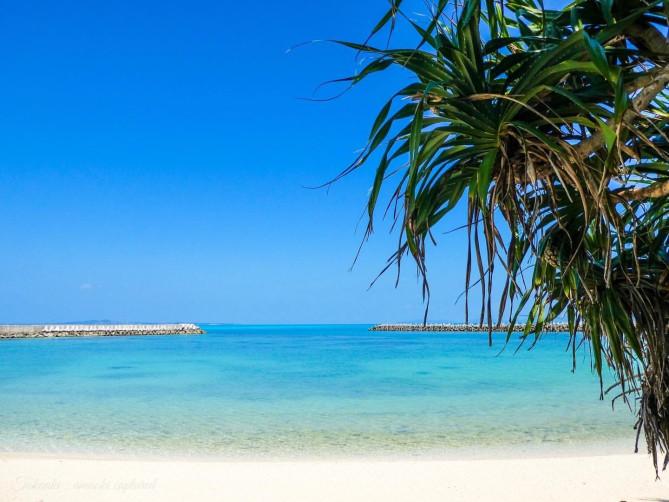沖縄の海