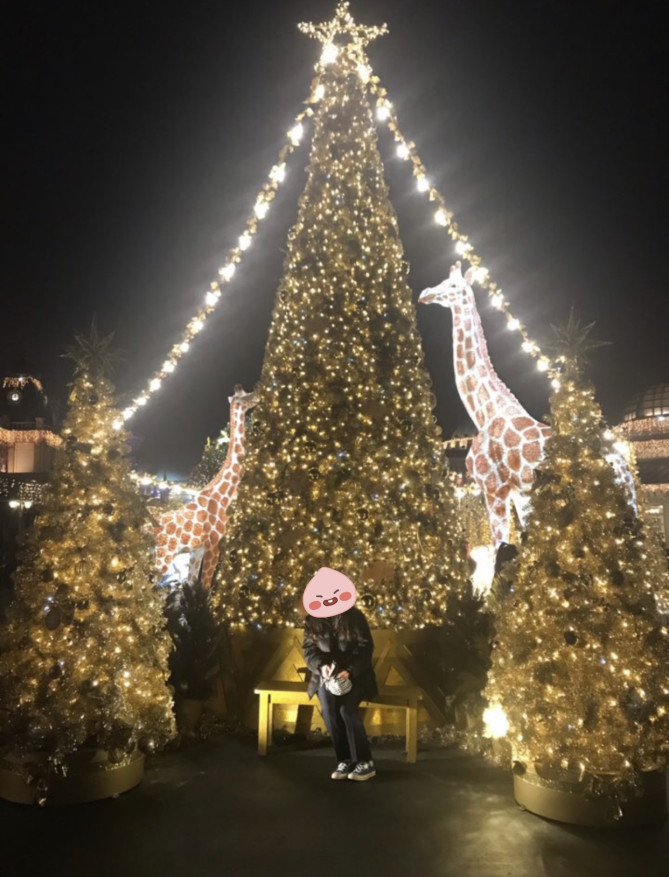 ヨーロピアンエリア