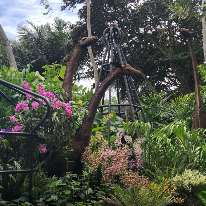 09_ランが咲き誇るオーキッドガーデン