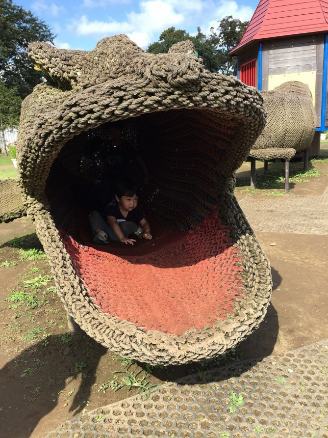 アンデルセン公園のとかげネット