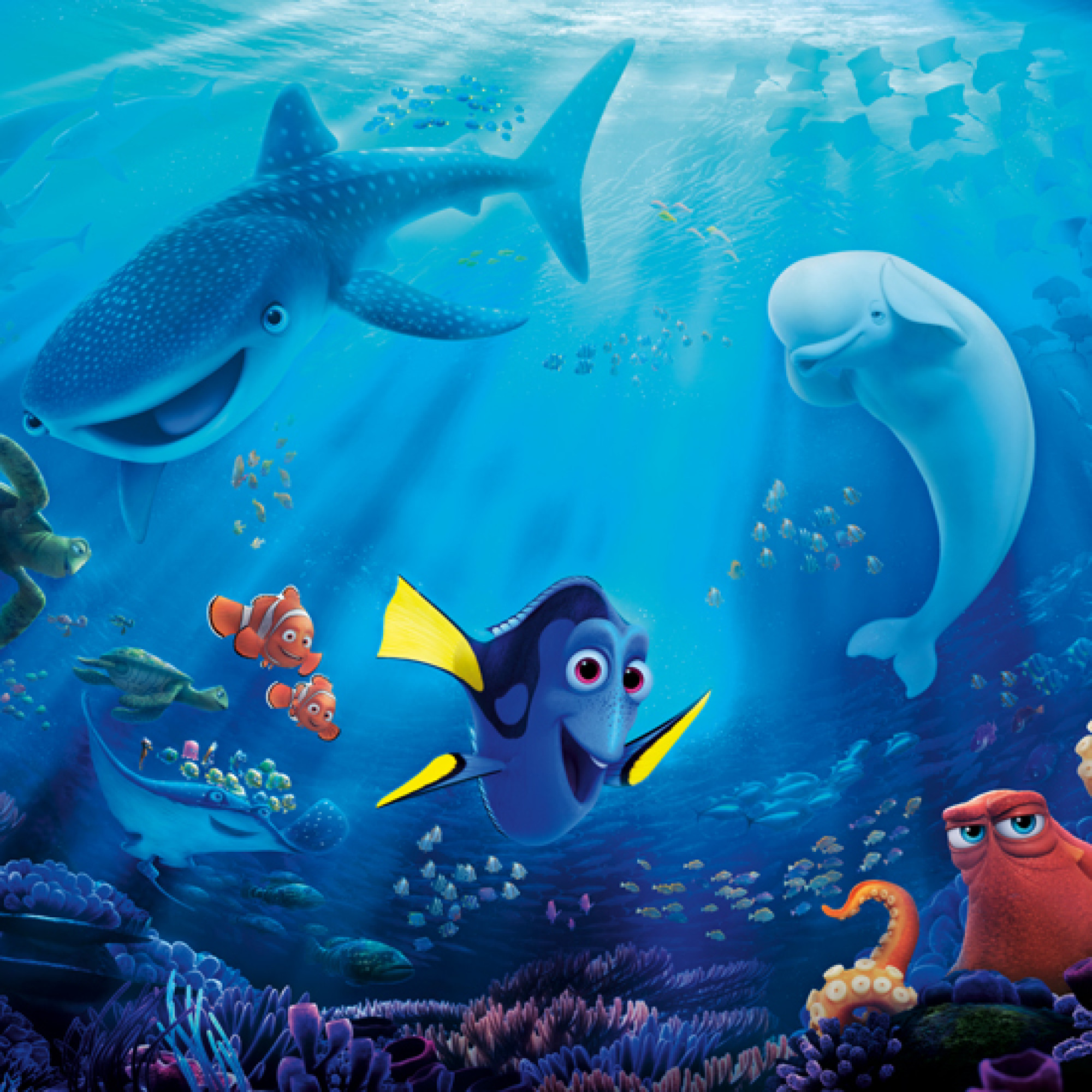 ファインディング・ドリー キャステル CASTEL ディズニー情報