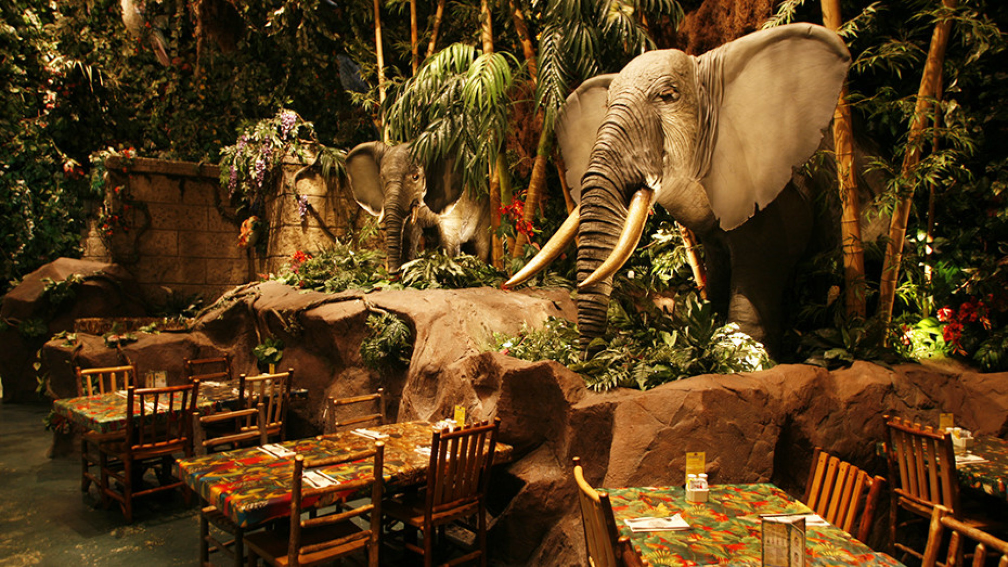 レインフォレスト カフェ(テーマレストラン) キャステル CASTEL ディズニー情報