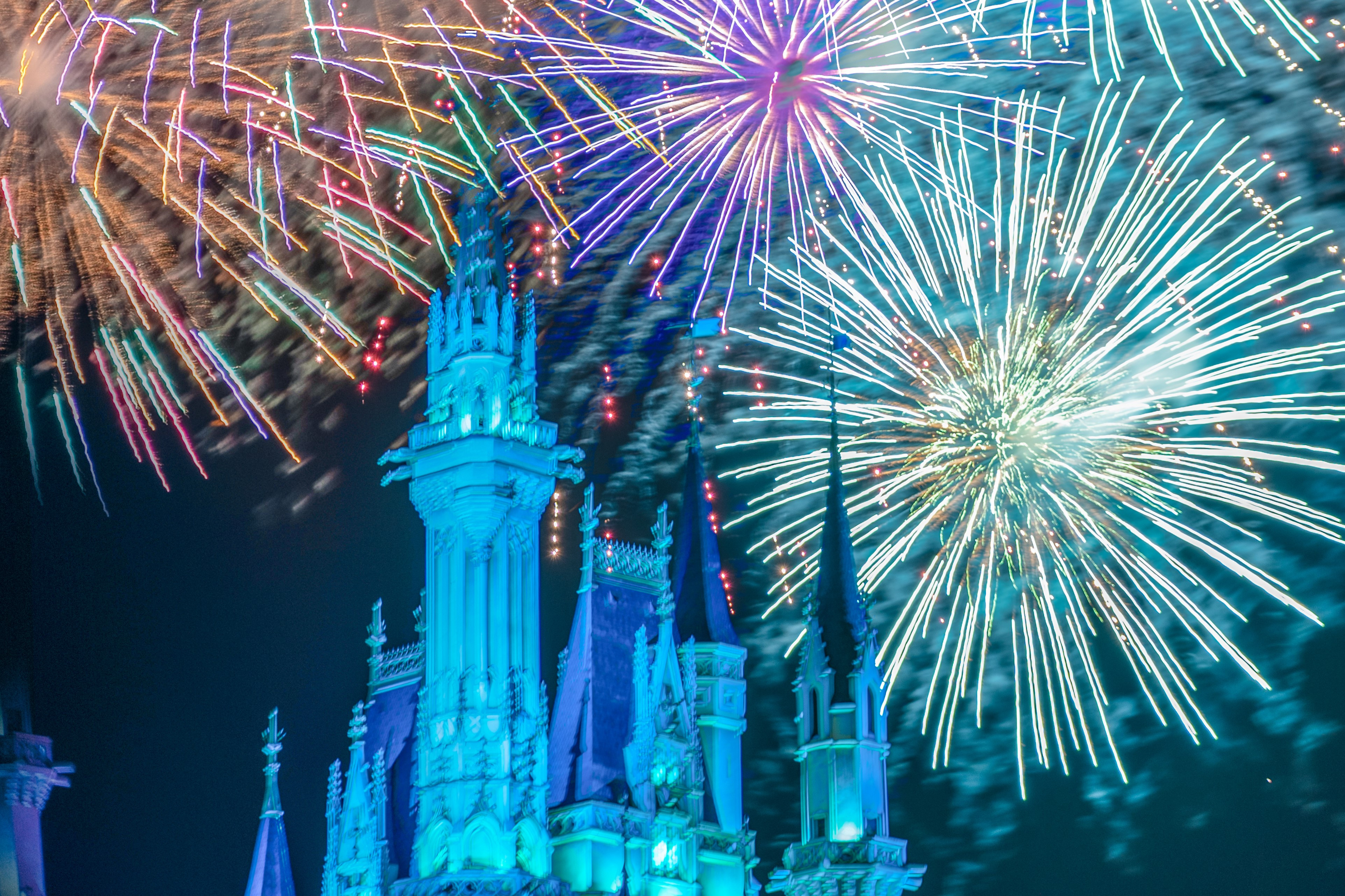 Disney - ディズニー　花火　カーテン　新品未開封 ディズニーリゾート 花火 パーク柄 カーテン】新品未使用品