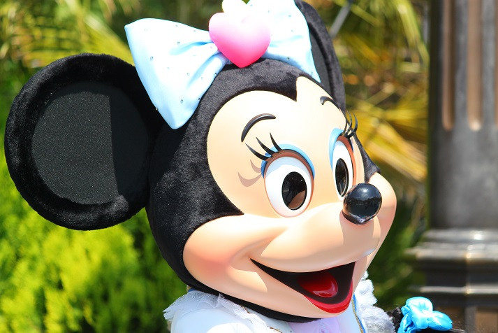 ディズニー　ミニーちゃん　小物入れ　純白で綺麗 Disney - ディズニーリゾート ミニーちゃん お菓子 小物入れ リボン