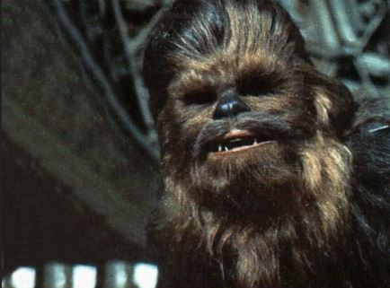 スター・ウォーズのハン・ソロの相棒「チューバッカ」の